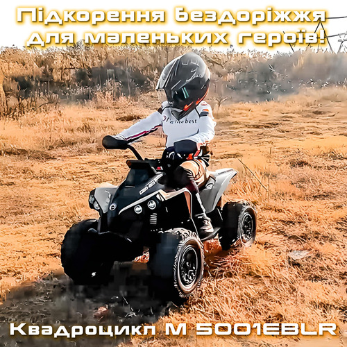 ���������� M5001EBLR
