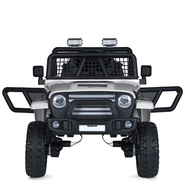 ���� M 5991EBLR-1(24V)