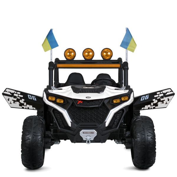 ���� M 6019EBLR-1