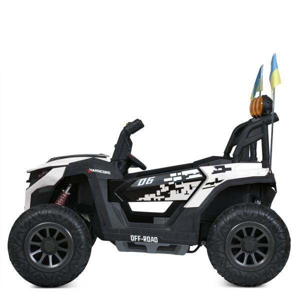���� M 6019EBLR-1