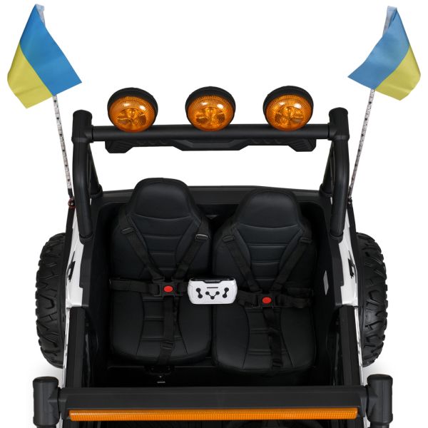 ���� M 6019EBLR-1