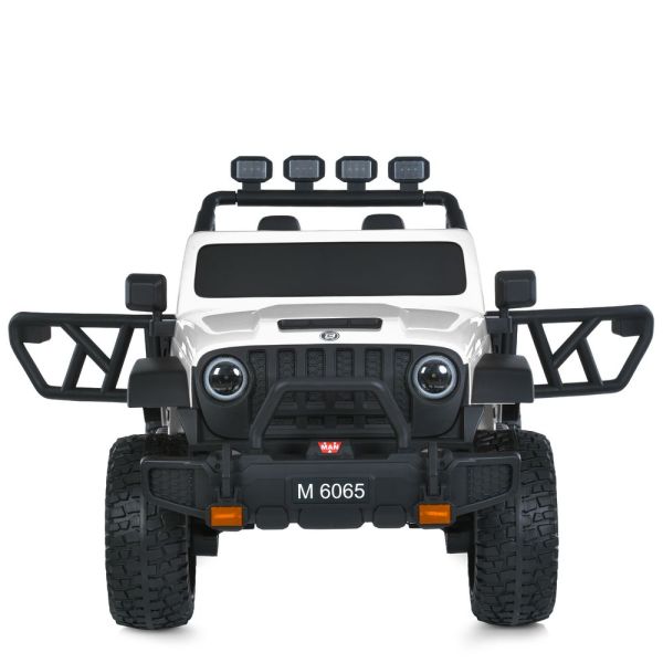���� M 6065EBLR-1