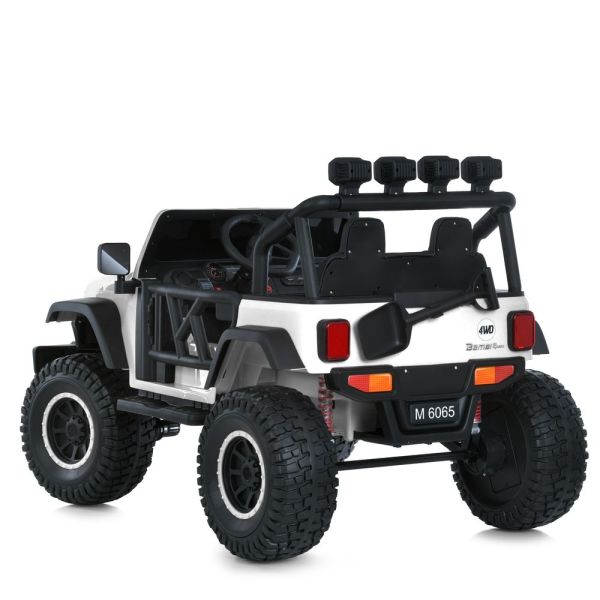���� M 6065EBLR-1