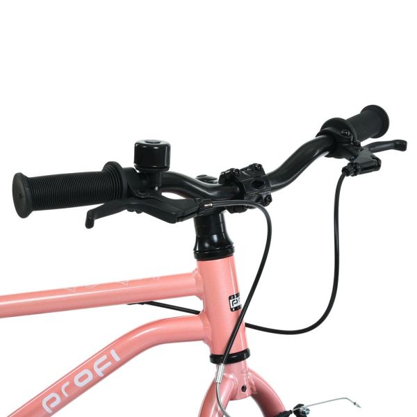 ��������� ������� 16�. PROF1 MB 16LIGHTY PEONY