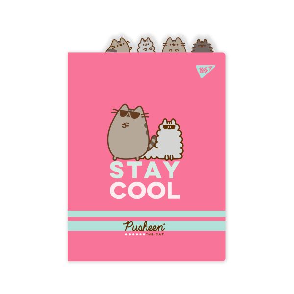 �����-�������� Yes FC �� ��������� � ���������� ������� "Pusheen"