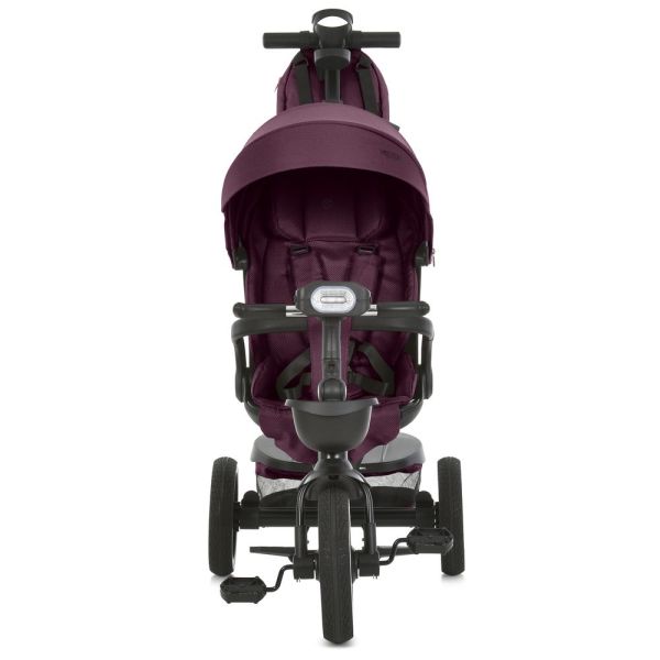 ��������� El Camino VECTOR ME 1162-1 Purple