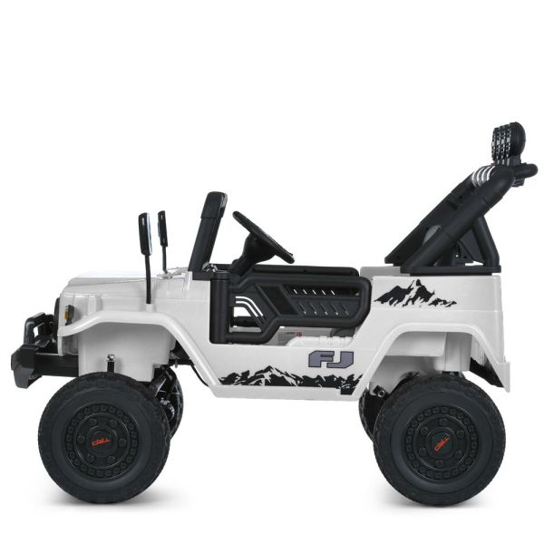 ���� 2566AEBLR-1(24V)
