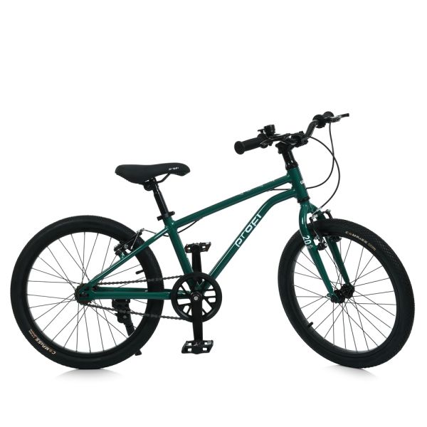 Велосипед дитячий 20д. PROF1 MB 20LIGHTY RAIN FOREST, темно-зелений